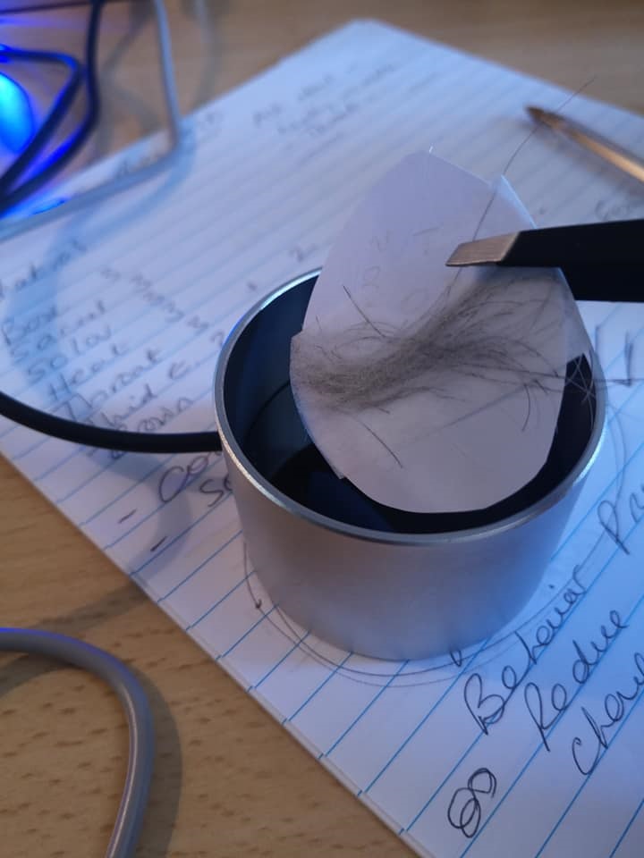 Hair in cup.jpg